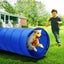 Dog Agility Training Exercise Equipment Set Carousel 10