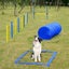 Dog Agility Training Exercise Equipment Set Carousel 11
