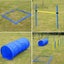 Dog Agility Training Exercise Equipment Set Carousel 12