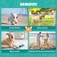 Dog Pet Cat Interactive Flirt Pole Play Toy Training Stick Carousel 5