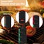 Wireless Bluetooth Meat Thermometer Grill Oven BBQ Kitchen Cooking Carousel 13