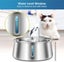 Cat Water Fountain Carousel 5