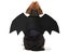 Pet Halloween Costume Bat Wings Black Bat Wings for Cat Dog Puppy XL Carousel 3