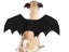 Pet Halloween Costume Bat Wings Black Bat Wings for Cat Dog Puppy XL Carousel 6