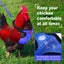 Chicken Harness with Leash,Upgraded Double Adjustment Chicken Harness and Leash Carousel 10