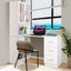 Computer Laptop Desk and Bookshelf Bookcase Study Table Office Writing 3in1 Carousel 8
