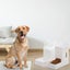 3.5L Automatic Dog Cat Feeder Food and Water Dispenser Set with Pet Food Bowl Carousel 8