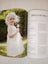 *Lace Knitting* by Denise Samson. Beautiful knitting pattern book. Carousel 7