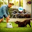 Dog Ball Launcher Sale NZ Stock Deal Carousel 11
