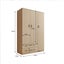 Wardrobe Cabinet 180cm Carousel 7