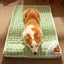 Removable And Washable Non-Slip Bottom Comfortable Pet Mattress Carousel 5
