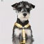 Adjustable Harness Large-capacity Portable Pet Snack Self Backpack Carrier Carousel 7