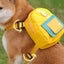 Adjustable Harness Large-capacity Portable Pet Snack Self Backpack Carrier Carousel 12
