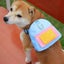 Adjustable Harness Large-capacity Portable Pet Snack Self Backpack Carrier Carousel 15