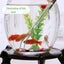 2 Pcs Feeding Tongs,Aquarium Tweezers Stainless Steel Straight and Curved Tweeze Carousel 8
