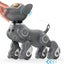 Robot Dog Toy Voice & 2.4GHz Remote Control Robot Pet with Interactive Touch Sen Carousel 9