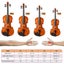 1/4 Acoustic Violin Kit 4 Strings with Case Bow Carousel 4
