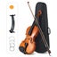 1/4 Acoustic Violin Kit 4 Strings with Case Bow Carousel 16