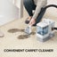 Carpet Cleaner Carousel 4