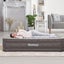 Air Bed Queen Brand New Carousel 12