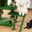 Cat Tree House NZ Stock Deal Carousel 8