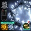 Christmas Light Carousel 3