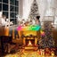 Christmas Light Carousel 7