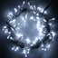 Christmas Light Carousel 15