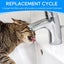 Cat Water Fountain Filter Carousel 7