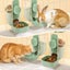 Automatic Cat Feeder,Dog Feeder,Pet Feeder Carousel 5