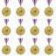 12PCS Winner Gold Award Medals Prize Olympic Carousel 5