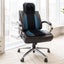 Massage Chair Seat Neck Back Shiatsu Massager Full Body Carousel 12