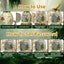 Piggy Bank for Kids Dinosaur Egg Money Bank Carousel 11