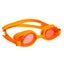 Junior Goggles Carousel 2