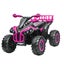 Electric Ride On Car 12V Pink Carousel 19