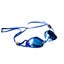 Aqualine Legacy Swedish Adult Swim Goggle (Mirror) Carousel 1