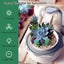 Succulent Pots with LED Grow Light,Smart Succulent Planters with Timer and Venti Carousel 2