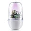Succulent Pots with LED Grow Light,Smart Succulent Planters with Timer and Venti Carousel 6