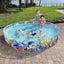 Bestway 55031 Swimming Pool Carousel 1