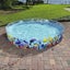 Bestway 55031 Swimming Pool Carousel 2