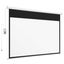 Projector Screen 100 Inch Carousel 11