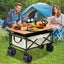 Camping Trolley Cart Wagon - New Carousel 10