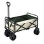 Camping Trolley Cart Wagon - New Carousel 13