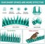 Bird Spikes 10 Pack Plastic Squirrel Raccoon Pigeon Cat Animal Deterrent Spikes Carousel 4