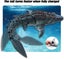 Remote Control Toy for Kids,Diving Toys RC Boat with Light and Spray Water Carousel 9