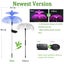 3PCS Outdoor Solar Garden Lights Flower Jellyfish Yard Lights NEW Carousel 2
