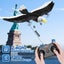 RC Plane, Remote Control Eagle Plane,RTF Airplane,2.4GHZ 2CH Flying Bird with 2 Carousel 13