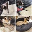 Charlie's Snookie Hooded Corduroy Calming Dog Bed Charcoal Small Carousel 3