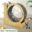 Cat Exercise Wheel Toy,Cat Scratcher Board Carousel 4