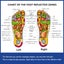 Acupoint Rotating Foot Massage Shoes Carousel 4